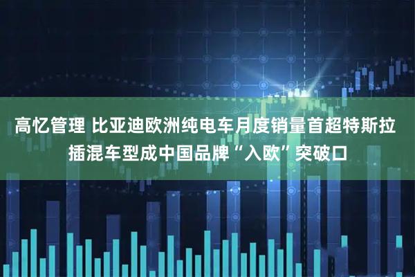 高忆管理 比亚迪欧洲纯电车月度销量首超特斯拉 插混车型成中国品牌“入欧”突破口