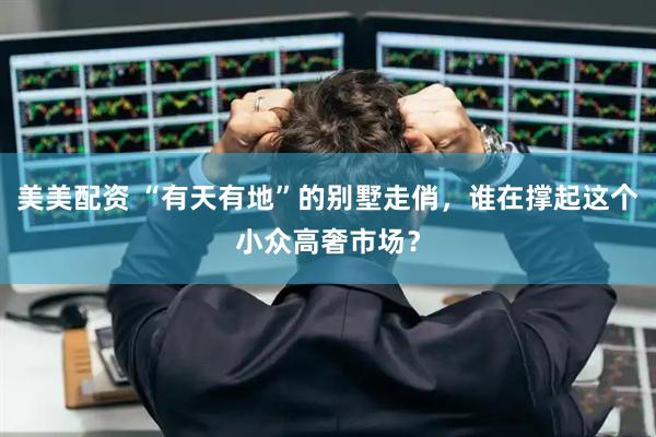 美美配资 “有天有地”的别墅走俏，谁在撑起这个小众高奢市场？