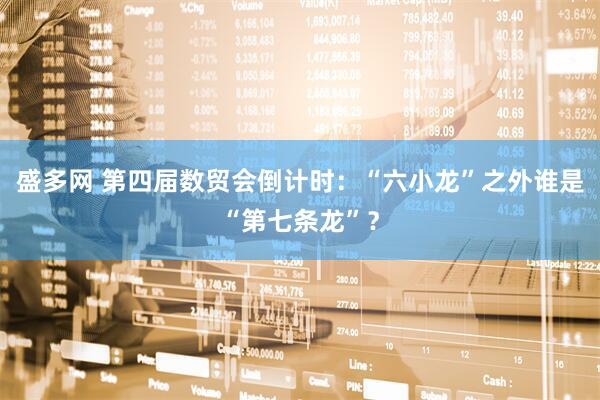 盛多网 第四届数贸会倒计时：“六小龙”之外谁是“第七条龙”？