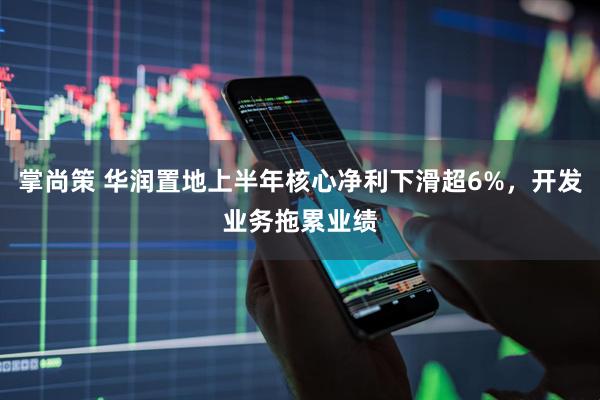掌尚策 华润置地上半年核心净利下滑超6%，开发业务拖累业绩