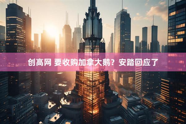 创高网 要收购加拿大鹅？安踏回应了