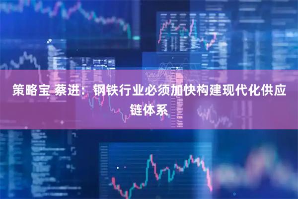 策略宝 蔡进：钢铁行业必须加快构建现代化供应链体系