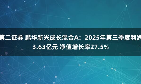 第二证券 鹏华新兴成长混合A：2025年第三季度利润3.63亿元 净值增长率27.5%