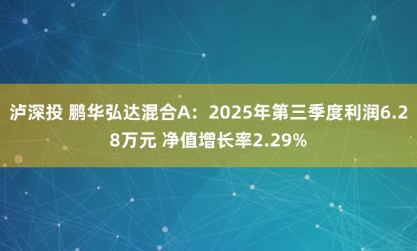 泸深投 鹏华弘达混合A：2025年第三季度利润6.28万元 净值增长率2.29%
