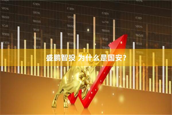 盛鹏智投 为什么是国安？