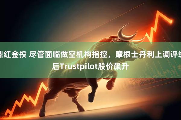 鼎红金投 尽管面临做空机构指控,摩根士丹利上调评级后Trustpilot股价飙升